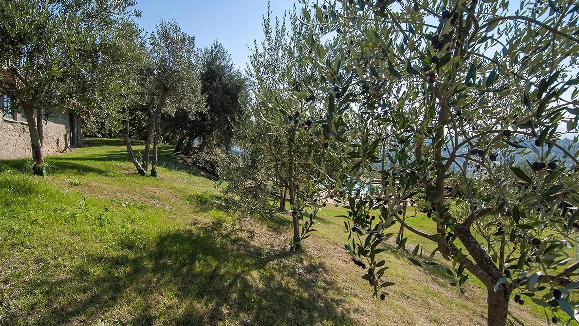Holiday home Freistehendes Agriturismo Mit Garten Und Pool Pratovecchio
