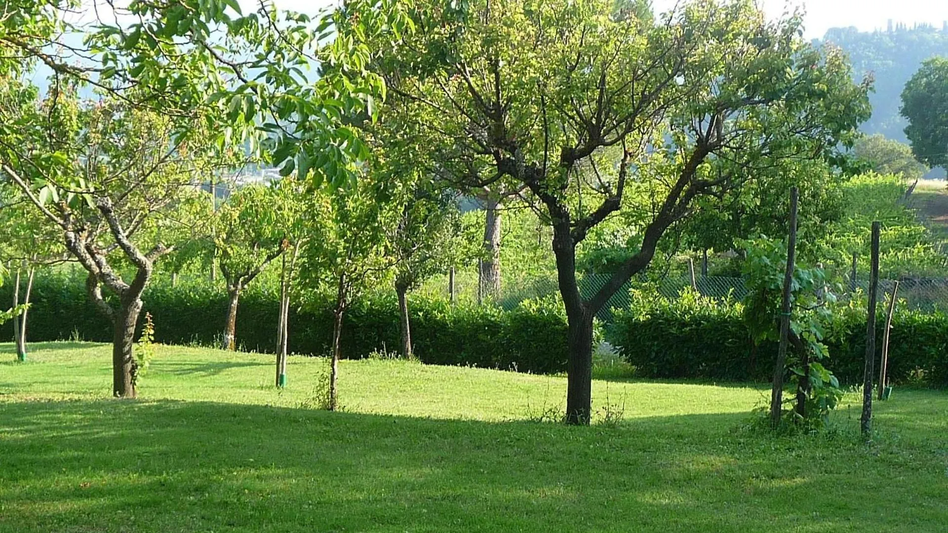 Freistehendes Agriturismo Mit Garten Und Pool Pratovecchio 0*,